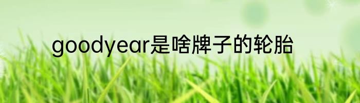 goodyear是啥牌子的轮胎