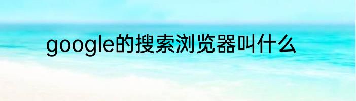 google的搜索浏览器叫什么