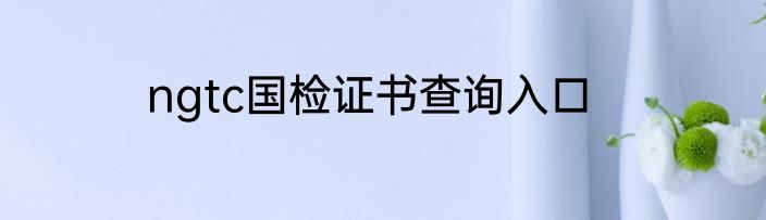 ngtc国检证书查询入口