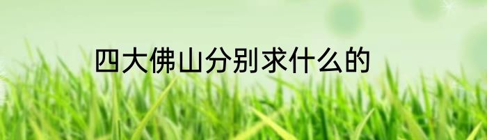 四大佛山分别求什么的