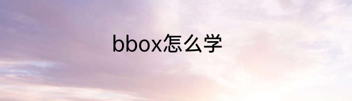 bbox怎么学