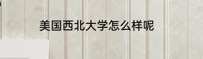 美国西北大学怎么样呢
