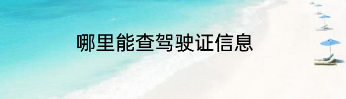 哪里能查驾驶证信息