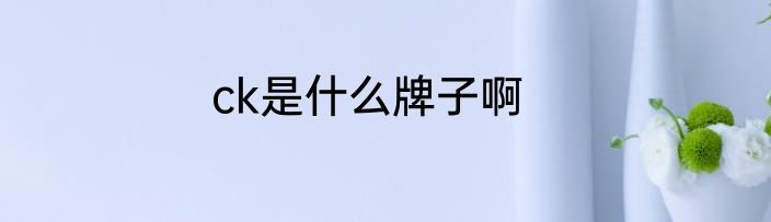ck是什么牌子啊