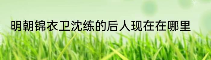 明朝锦衣卫沈练的后人现在在哪里