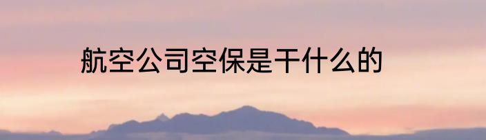航空公司空保是干什么的
