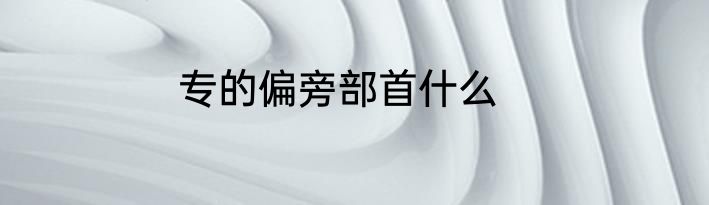 专的偏旁部首什么
