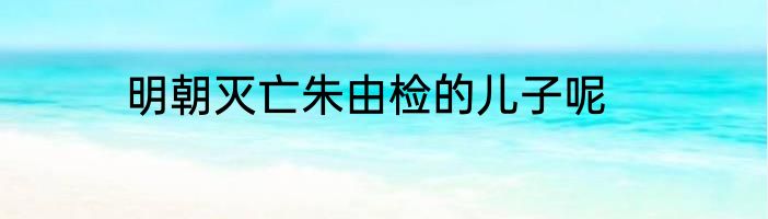 明朝灭亡朱由检的儿子呢