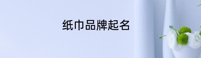 纸巾品牌起名