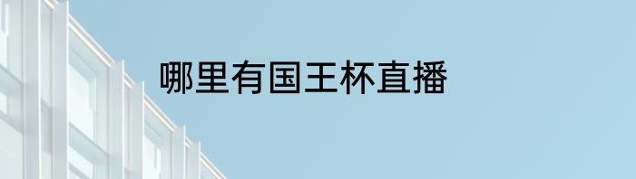 哪里有国王杯直播