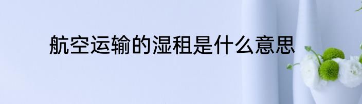 航空运输的湿租是什么意思
