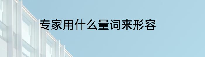 专家用什么量词来形容