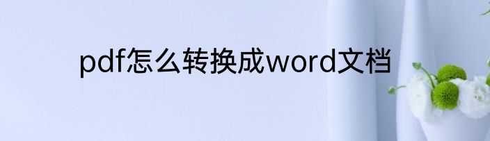 pdf怎么转换成word文档