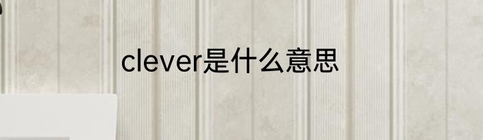 clever是什么意思