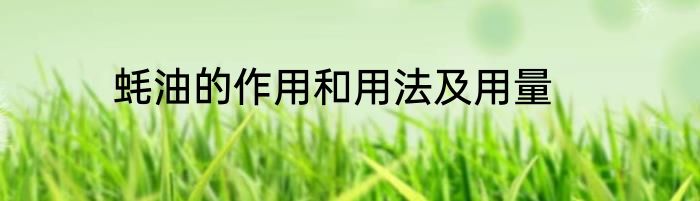 蚝油的作用和用法及用量