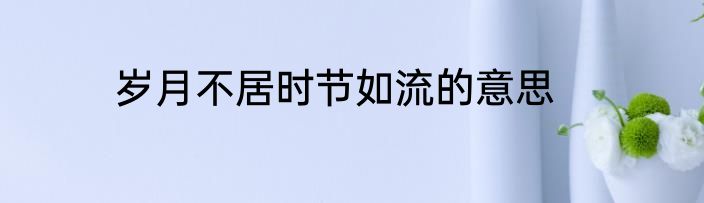 岁月不居时节如流的意思
