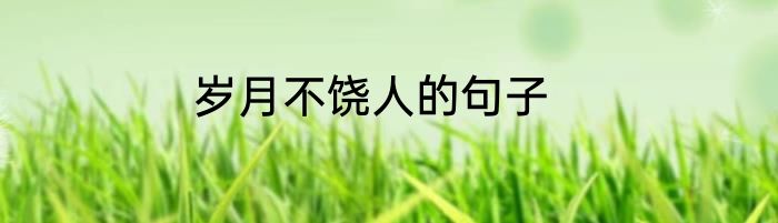 岁月不饶人的句子