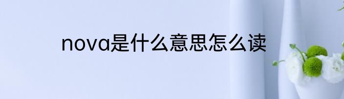 nova是什么意思怎么读