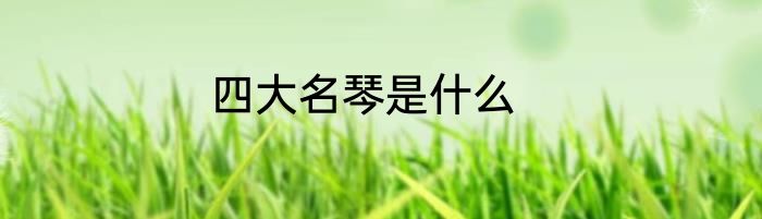四大名琴是什么
