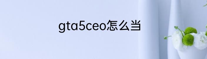 gta5ceo怎么当
