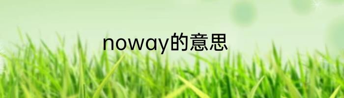 noway的意思