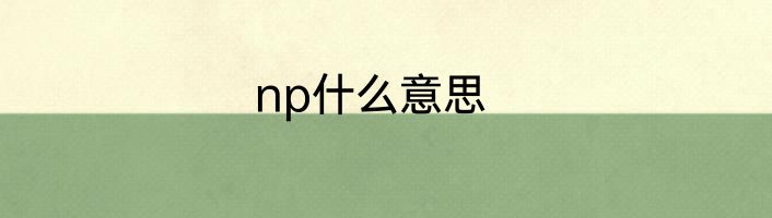 np什么意思
