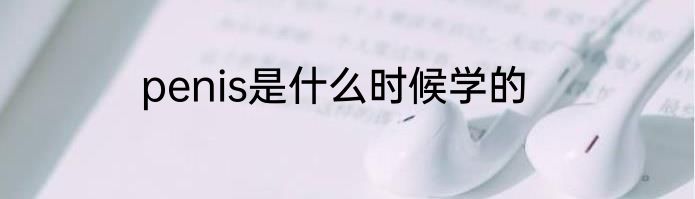 penis是什么时候学的