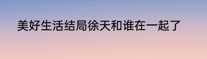 美好生活结局徐天和谁在一起了