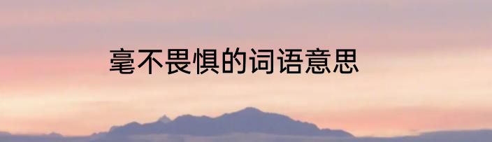 毫不畏惧的词语意思