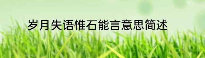 岁月失语惟石能言意思简述
