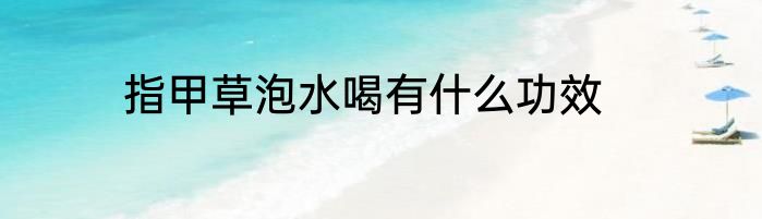 指甲草泡水喝有什么功效