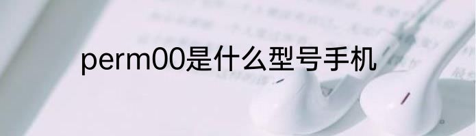 perm00是什么型号手机