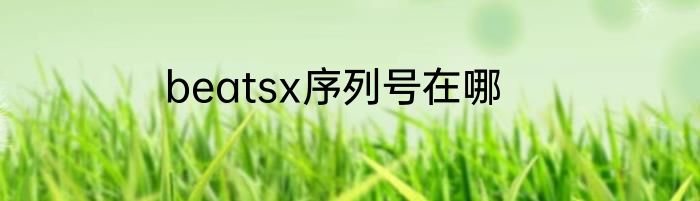 beatsx序列号在哪