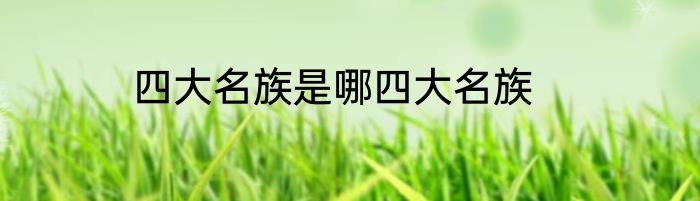 四大名族是哪四大名族