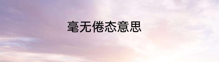 毫无倦态意思