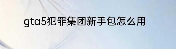 gta5犯罪集团新手包怎么用