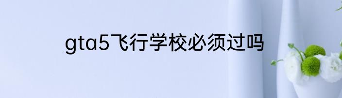 gta5飞行学校必须过吗