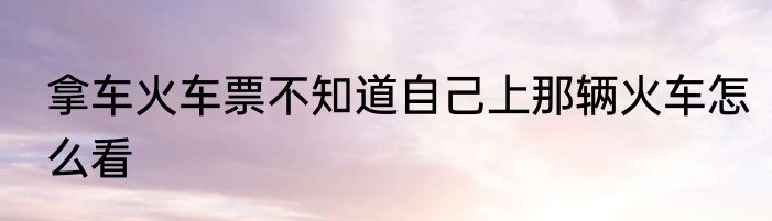 拿车火车票不知道自己上那辆火车怎么看