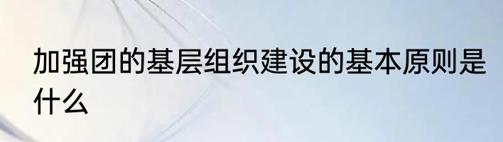 加强团的基层组织建设的基本原则是什么