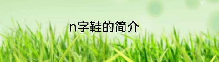 n字鞋的简介