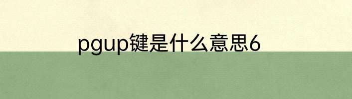pgup键是什么意思6