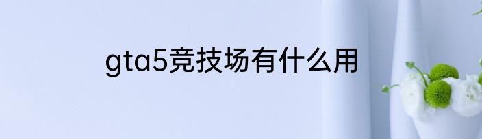 gta5竞技场有什么用