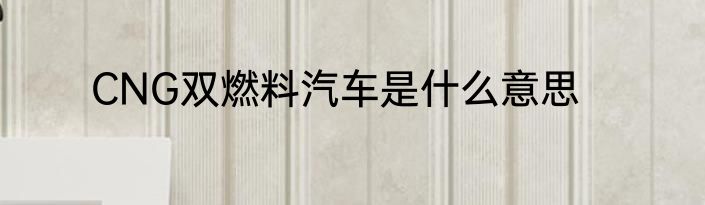 CNG双燃料汽车是什么意思