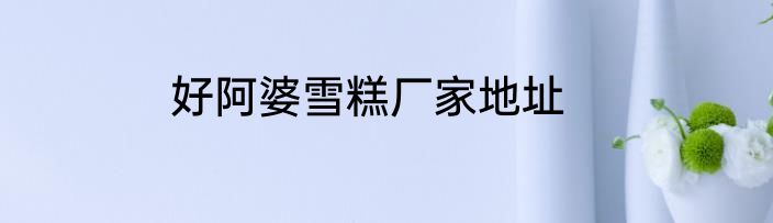 好阿婆雪糕厂家地址