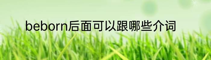 beborn后面可以跟哪些介词