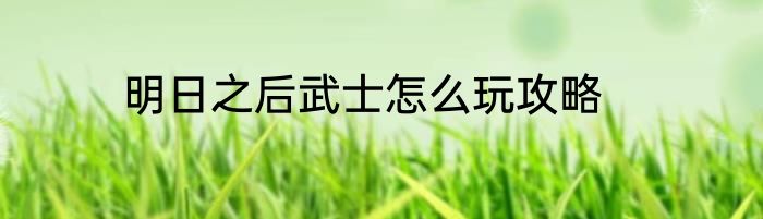明日之后武士怎么玩攻略