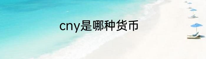 cny是哪种货币