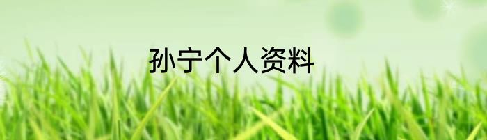 孙宁个人资料
