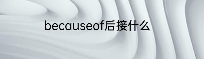 becauseof后接什么