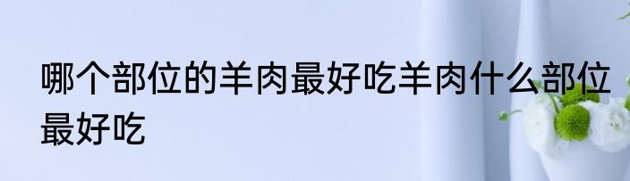 哪个部位的羊肉最好吃羊肉什么部位最好吃